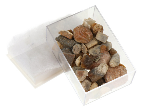 Caja De Muestras De Minerales Naturales Y Piedras Fósiles