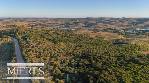 Venta De 30has En Frente A Bodega Garzon, Corredor Turístico (ref: Atm-7646)