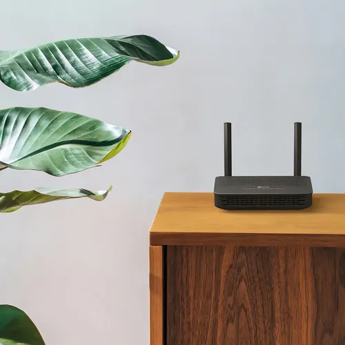 Roteador Wi-fi 6 Terminal Voip Gpon Tp-link Xx530v Easymesh