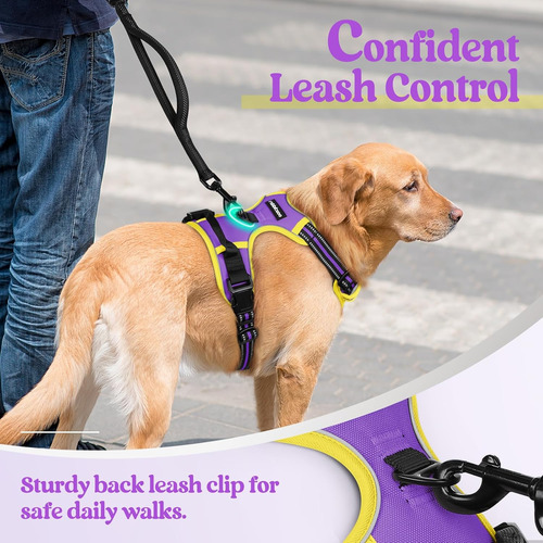 Arnés Para Perros Rabbitgoo No Pull, Ajustable, Talla L