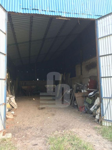 Canelones, 249 Ha Campo Con Casa Y Galpones. Suelo Agrícola.