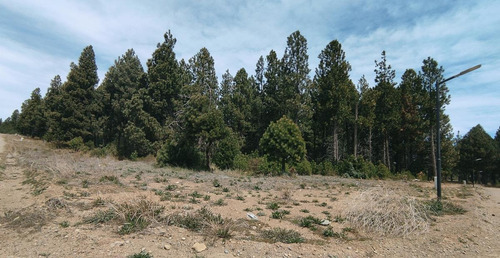 Imagen 4 de 5 de Terreno - Bariloche