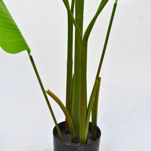 Planta Artificial Strelitzia Nicolai Hiperrealista Xl 180cm Color Verde