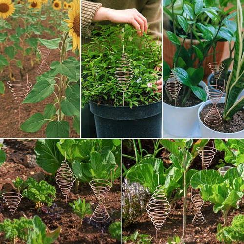 Herramienta De Bobina Fibonacci Para Plantas De Bobinado