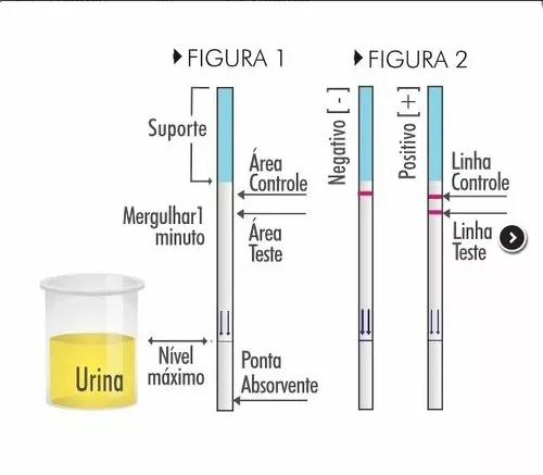 Segunda imagem para pesquisa de teste hiv rapido