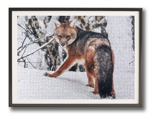 Imagen 4 de 4 de Puzzle 1.000 Piezas Animales: Zorro Fauna Chilena