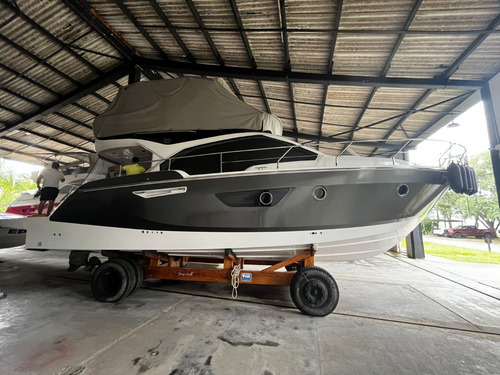 Sessa F42 Ano 2018 Com Ips 600 - B252