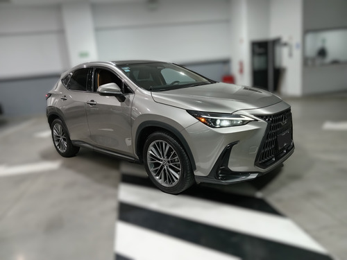 Lexus Nx 2022