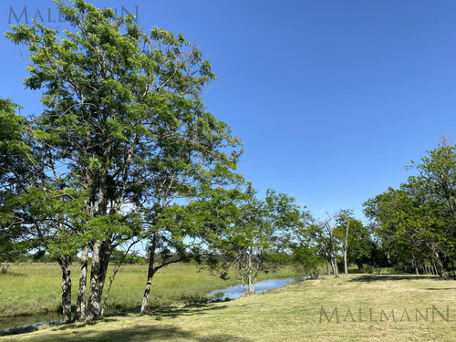 Venta Lote En Estancia Carabassa