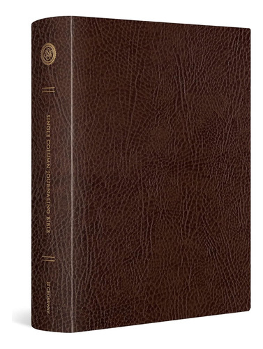 Esv - Large Print, Single Column Journaling Bible, Ingles 