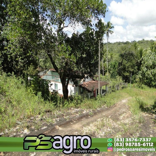Imagem 12 de 18 de ( Oportunidade )fazenda Na Região De Pedras De Fogo, C/ 80ha - Fa0077