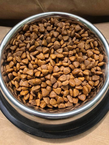 Imagen 1 de 6 de Cachorro Raza Pequeña 20kg Granel +obsequio Leer Descripción