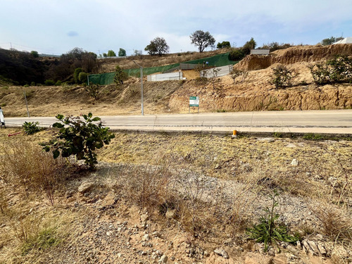 Terreno Residencial En Venta En Bosque Real
