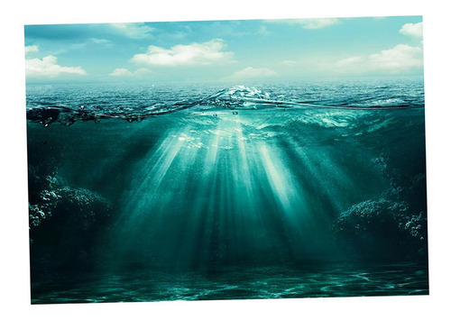 Pôster De Paisagem De Aquário 61x30 Cm