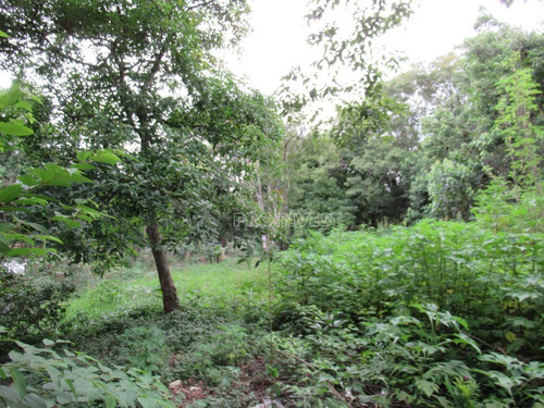 Granja Viana Jardim Colibri - Cotia/sp - Te9291