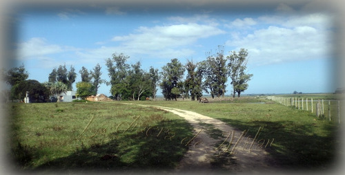 Campo De 35 Hectáreas (con Casa)