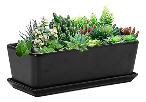 Sqowl Maceta Rectangular Para Suculentas De Cerámica De 10