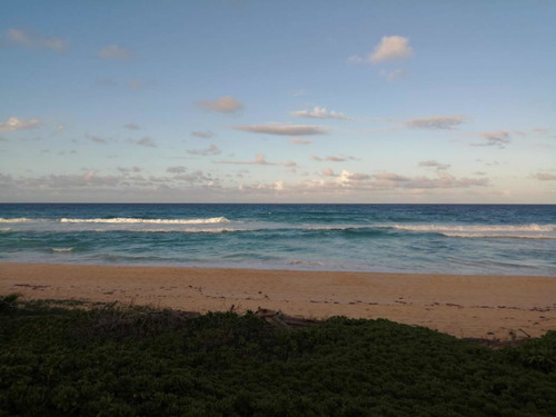 Vendo Este Terreno De 14.000 Metros En Uvero Alto Punta Cana