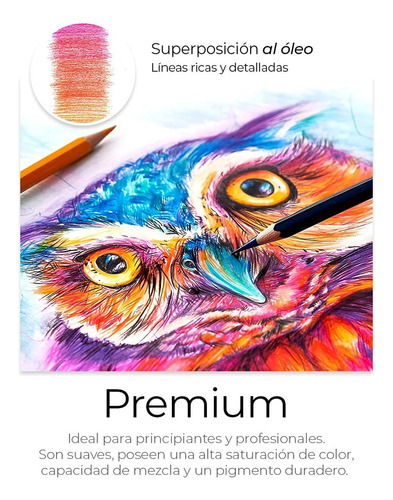 Set 72 Lapices Colores Arte A Base Aceite Dibujo Colorear
