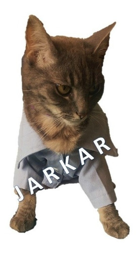 Camisa Formal Para Gato