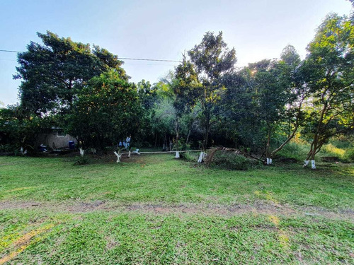 Terreno 9600m2 À Venda Em São Sebastião Do Caí, Rs.