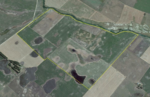 Imagen 9 de 15 de Campo Mixto 330 Has A 80km Del Puerto De Necochea- San Cayetano