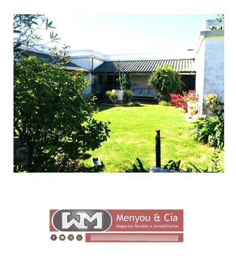 Venta Campo Florida 440 Has Ganadero Forestal Completo