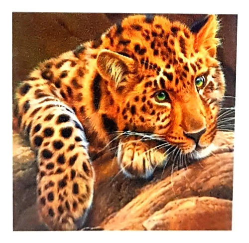 Kit Pintura Con Números Leopardo 40x30 Arte Dibujo Artistico