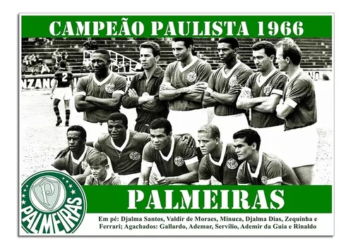 Palmeiras campeão: baixe o pôster dos heróis do título do Paulistão -  Futebol - R7 Campeonato Paulista