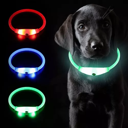 Collar de perro con luz, collar de perro LED para perros grandes, medianos  y pequeños, collar de perro recargable con luz LED para caminar por la