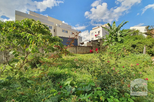 Imagem 7 de 15 de Lote À Venda No Nova Granada - Código 277710 - 277710