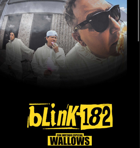 Concierto Blink 182