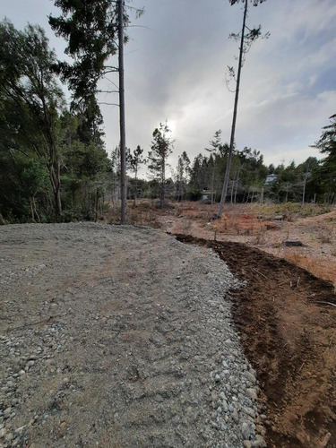 Imagen 18 de 24 de Av. Bustillo Km 21 Nuevo Loteo
