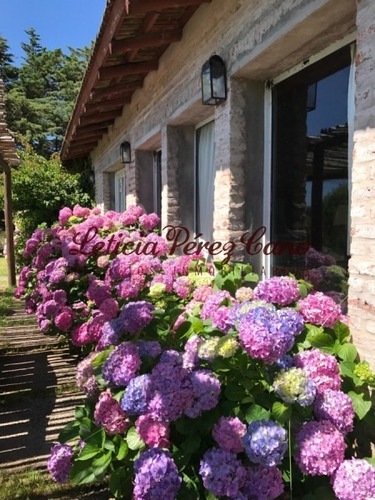 Venta Chacra En Ruta 39 De 9 Has - Ref: 19263