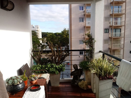 Imagen 10 de 14 de Vendo Oportunidad Zona Valle Fertil
