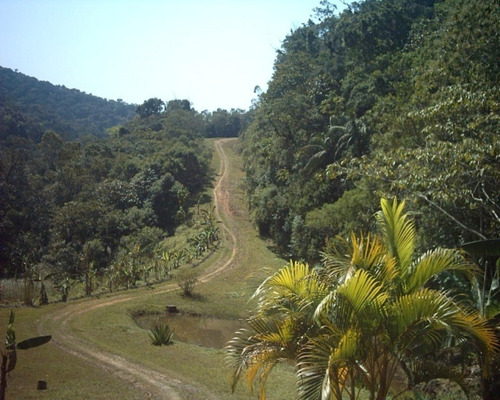 Imagem 3 de 23 de Fazenda Ideal Para Investimentos - 187 - 32982530