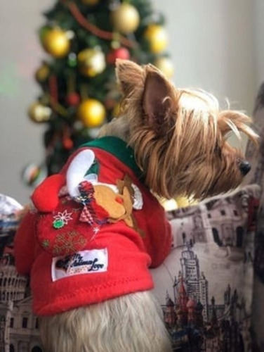 Buzo Navideño Para Perro Talla S