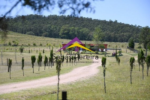 Imagen 5 de 14 de Venta De Chacra En San Carlos- Ref: 40697