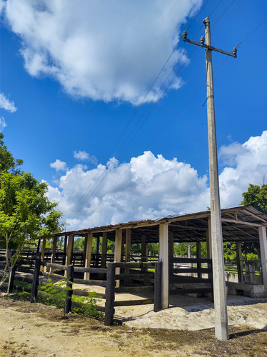 Venta De Rancho En Zona Ganadera De Yucatán, Con Cenotes, 453 Has