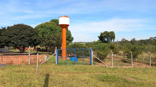 Imagem 14 de 19 de Sítio A 1,5km De Mirassol