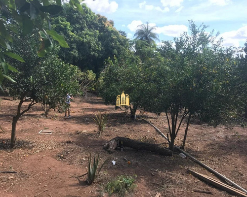 Imagem 26 de 29 de Sitio No Bairro Caracois - Esmeraldas - St00008 - 32612131