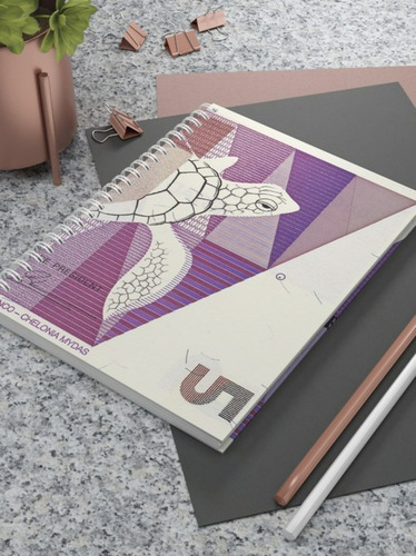 Cuaderno Libreta Profesional | 100 Hojas Pasta Semirigida 02 Cuadro Grande
