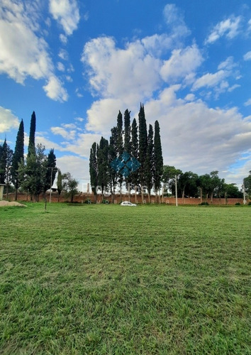 Terrenos/lotes En Venta- Colonia Caroya (con Escritura) 