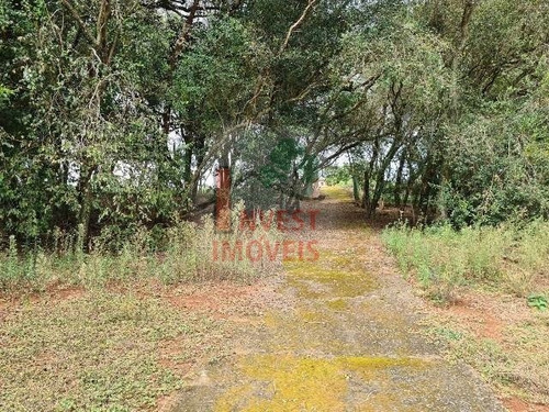 Imagem 15 de 15 de Chacara - Ref: 5662 - V-5662