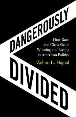 Libro Dangerously Divided : How Race And Class Shape Winn...