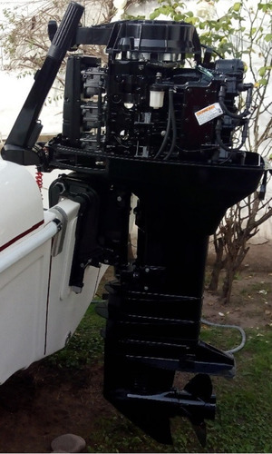 Imagen 2 de 3 de Mercury 40 Hp 2 Tiempos Con Caña