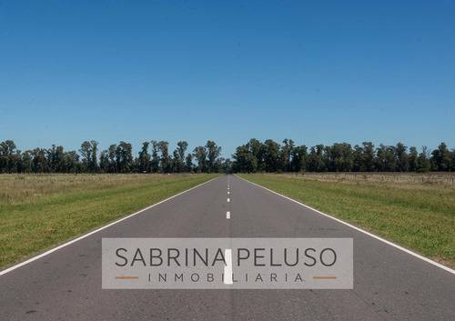 Venta Lote/terreno Plomer
