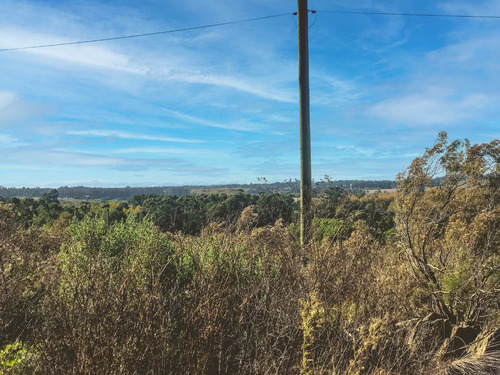 Imagen 2 de 5 de Lote 21.056 M2 En Venta - Tandil