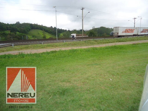 Imagem 5 de 7 de Terreno Frente Para A Rodovia - 1315