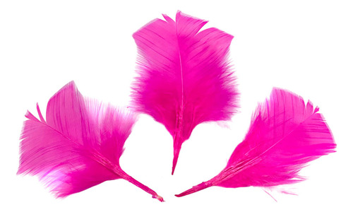 Pena Colorida Pequena Para Fuê Artes Carnaval Pink 25g